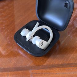 Beats by Dr. Dre Powerbeats Pro In-Ear Wireless Headphones