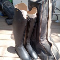 Dressage / Jumping Petrie Boots