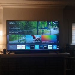 65" Tv Pioneer 