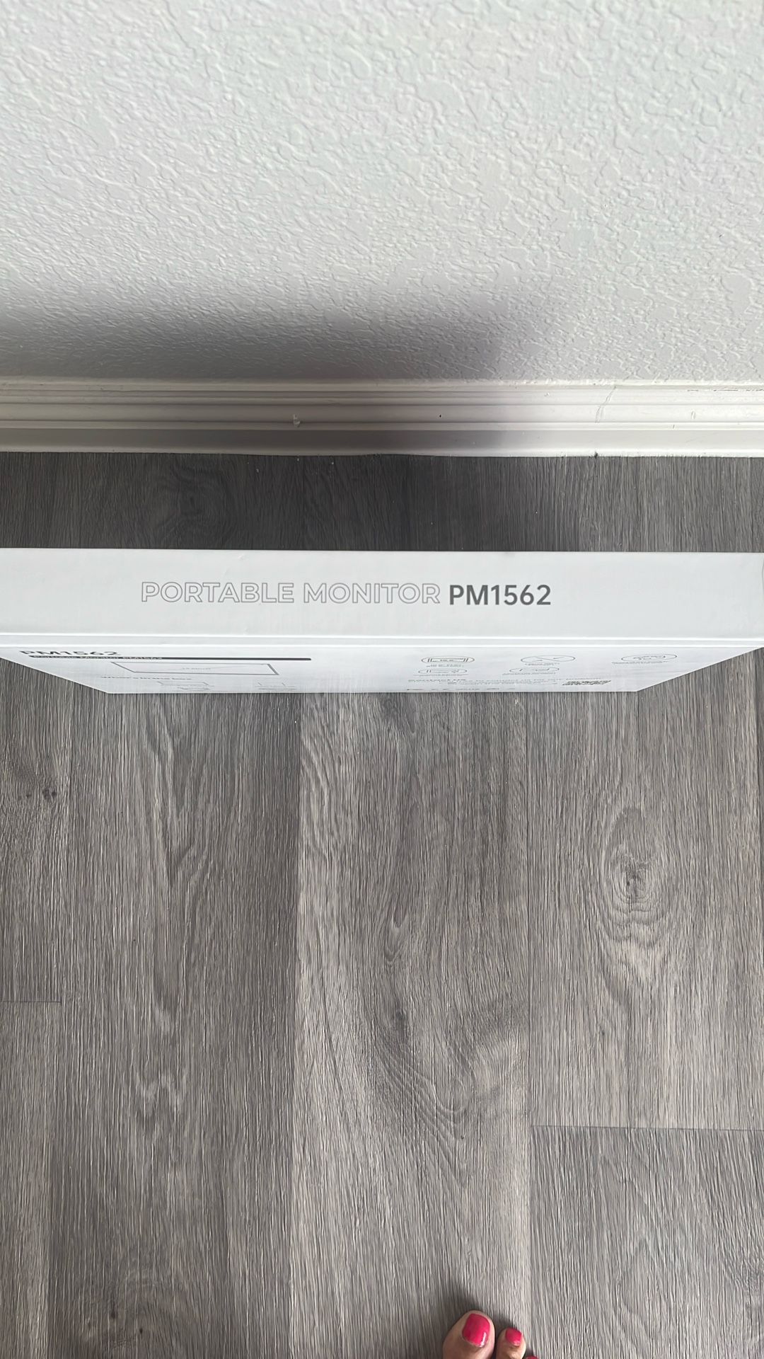 PMSA Portable Monitor 15 In