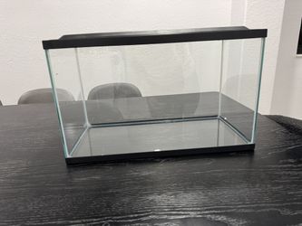 10 Gallon Glass Tank