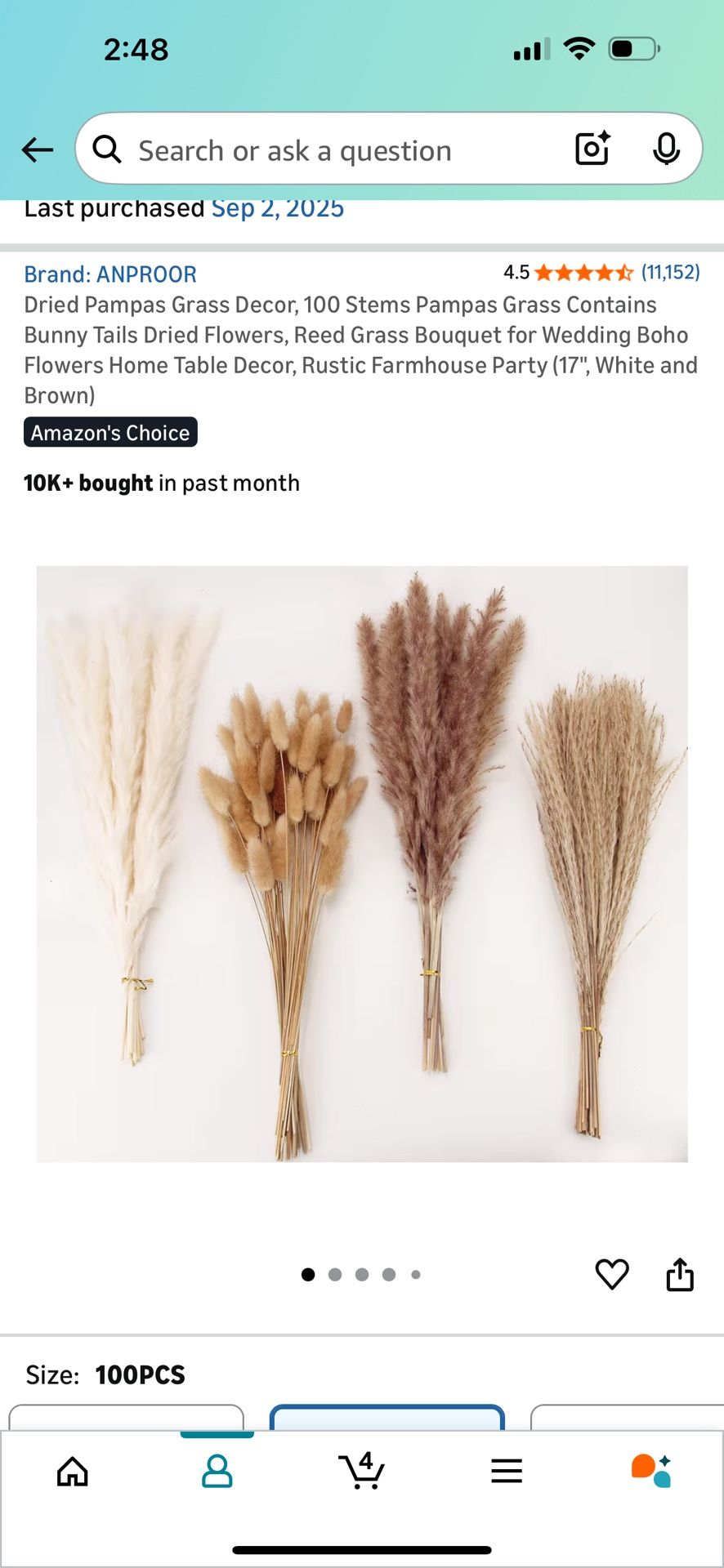 Dried Pampas grass Decor 100 Pieces