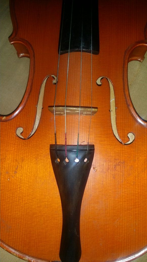 Violine