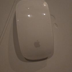 Apple USB-C Multi-Touch Surface mouse