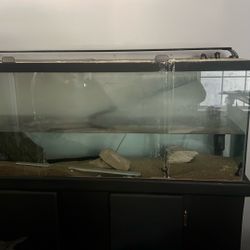 50 Gallon Tank 