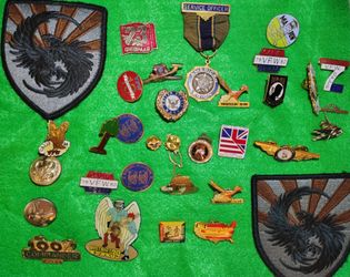 Military pins collection