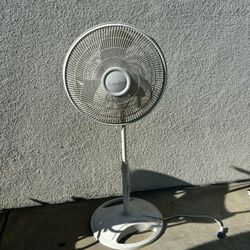 Fan