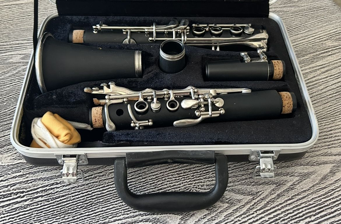 Clarinet with carry case in excellent condition. $65