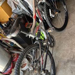 Fuji Mountain Bike