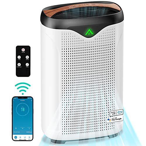 Smart HEPA Air Purifier for Home Large Room, WiFi APP Alexa Control Air Cleaner