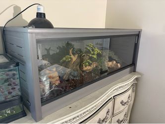Ball python enclosure