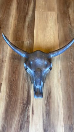 Bull Skull