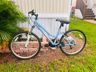 Roadmaster bike
