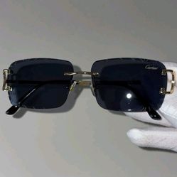 Cartier Sunglasses 