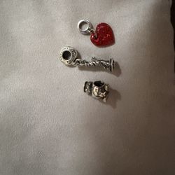 Pandora Charms