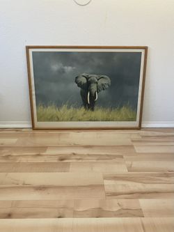 Framed "Wise Old Elephant" Print by David Shepherd