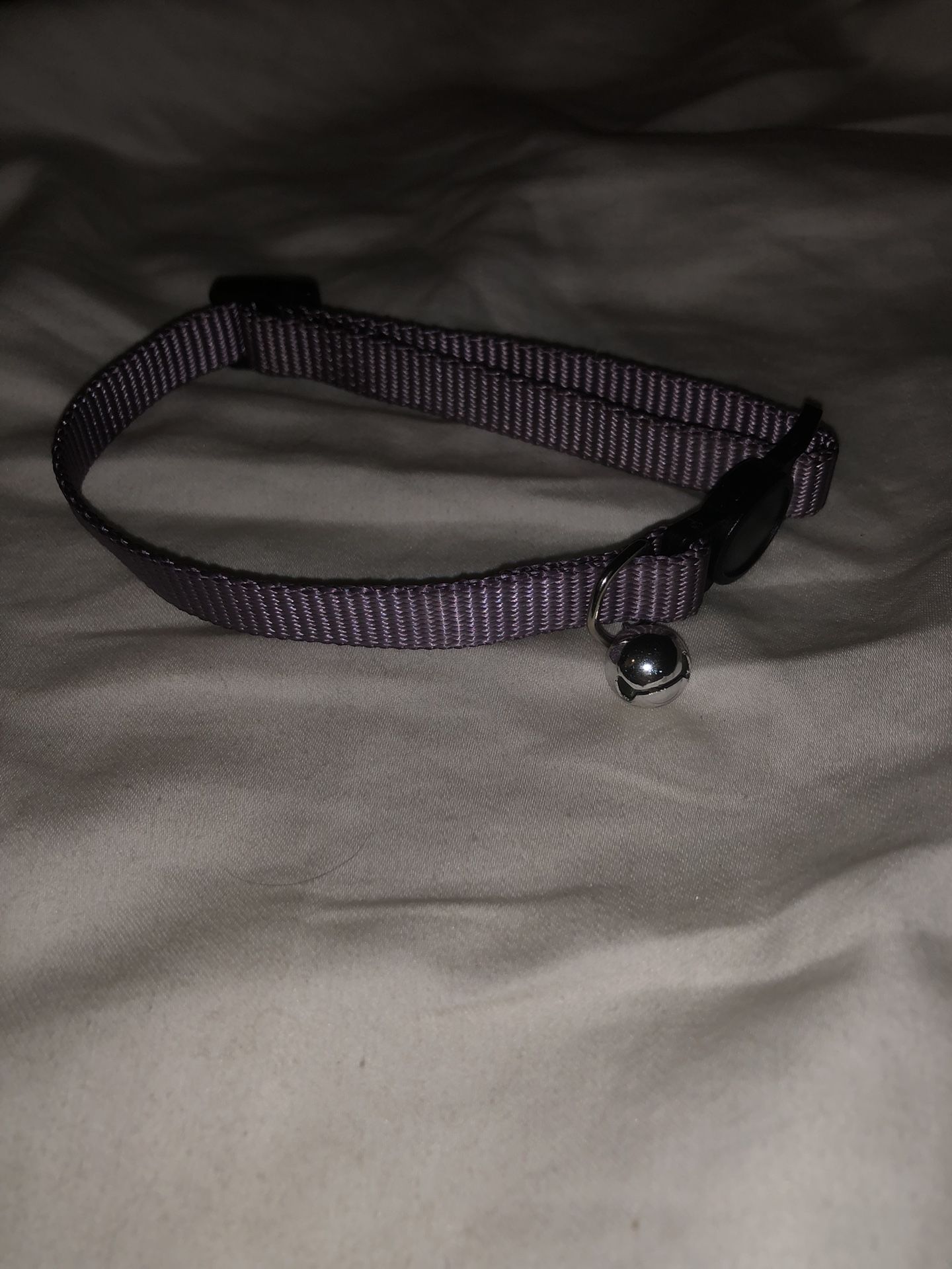 Cat Collar
