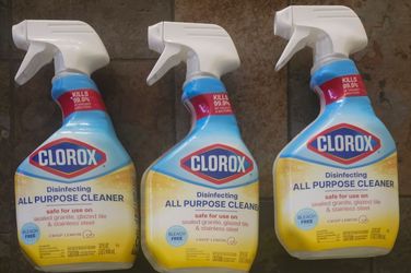 Clorox all purpose dissenfecting spray 32oz