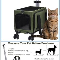 Pet Carrier Airline Approved 