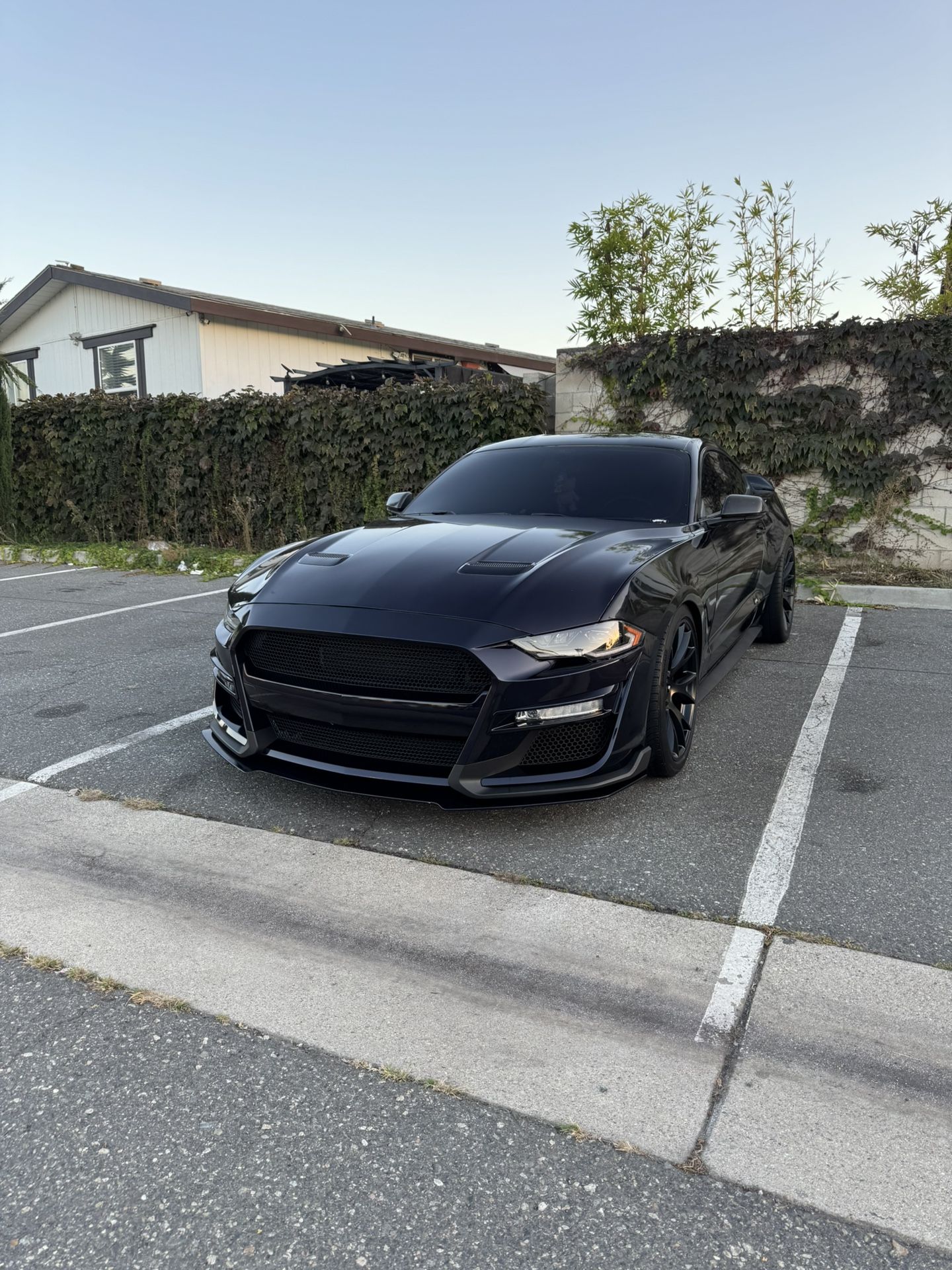 2019 Ford Mustang