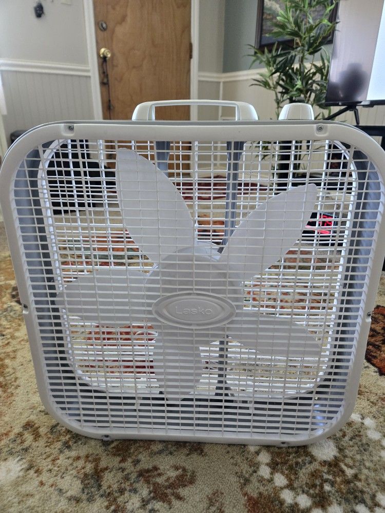 Fan