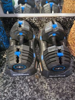 NordicTrack speed weights