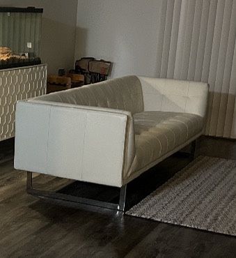 Leather Sofa/couch