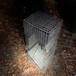 Raccoon Cage/ Human Catch And Release 