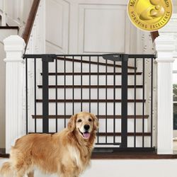 Security Gate 