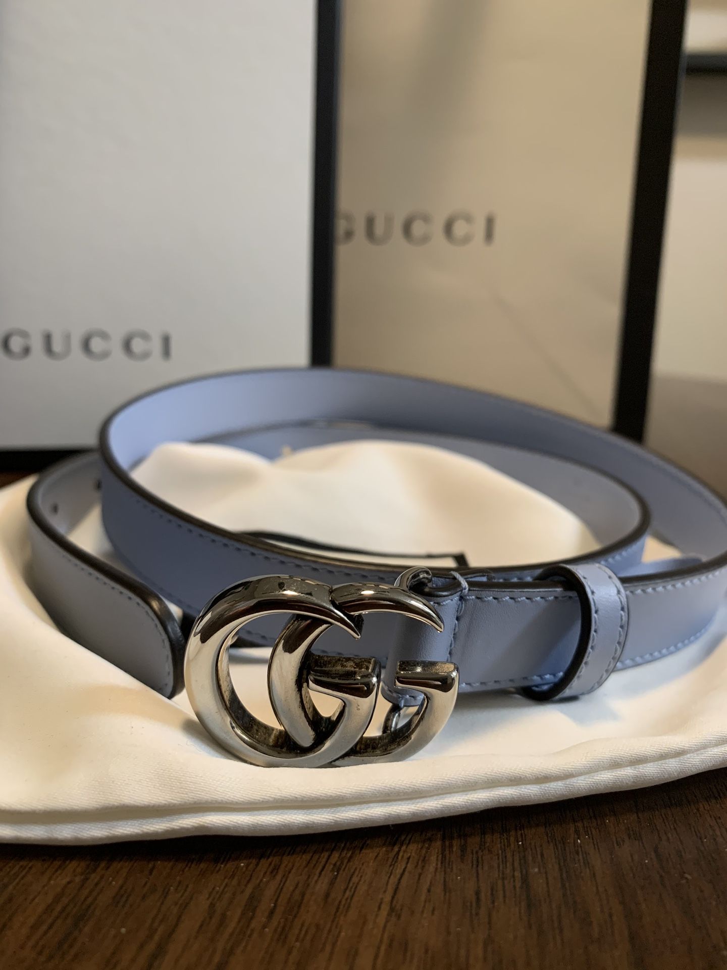 Gucci Thin Belt Pastel Blue With Silver Double G