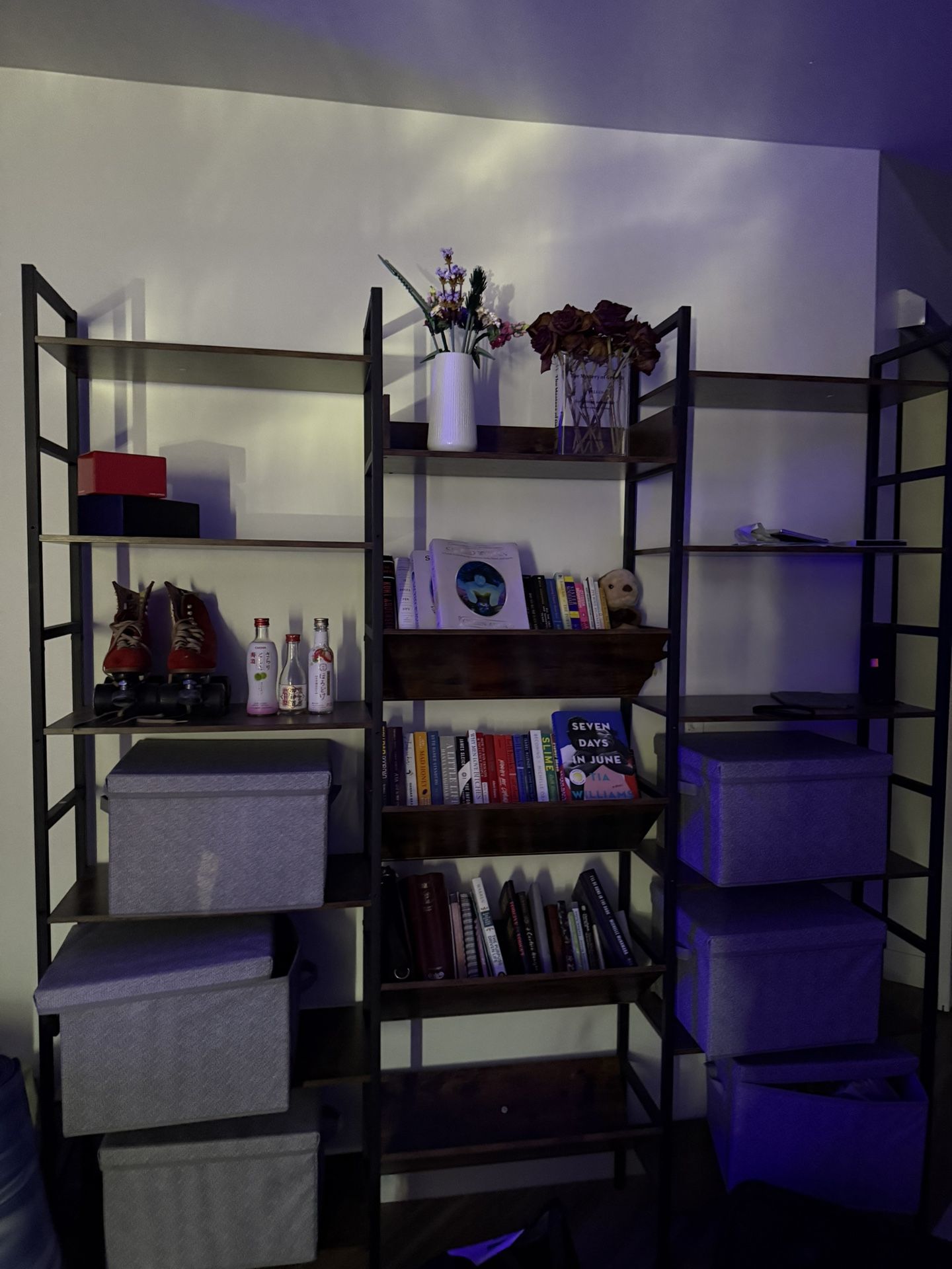 Storage/book Case
