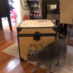 Designer Travel Chest