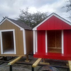 Nice Dog Houses