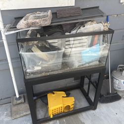 Reptile Tanks Fish Tanks 