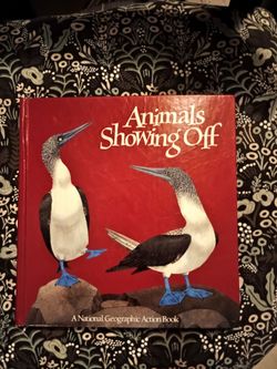 Hard Cover Pop Up book 1988 edition