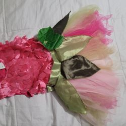 Fairy Costume