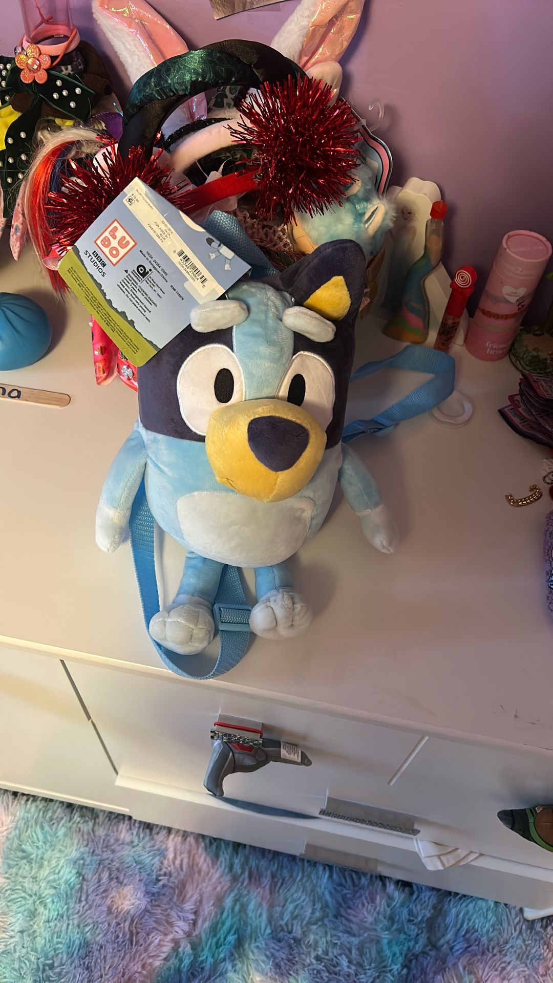 Kids Bluey Book Bag