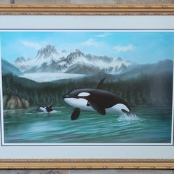 Beautiful Whale Picture