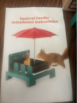 Squirrel 🐿️ feeder