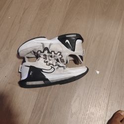 LeBron James Baskeball shoes 