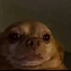 Ed