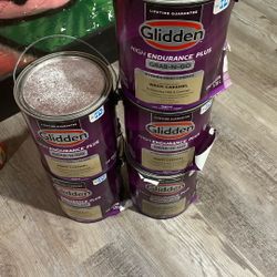 5 1 Gallon Paint Buckets Warm Caramel Color 