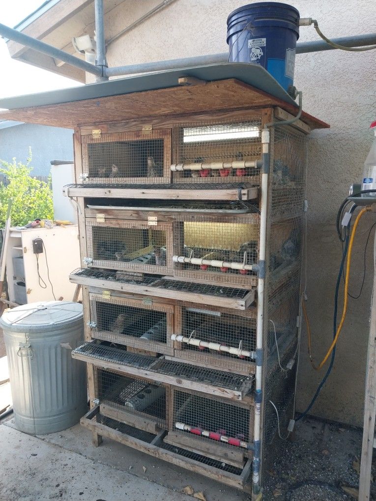 Quail Cage