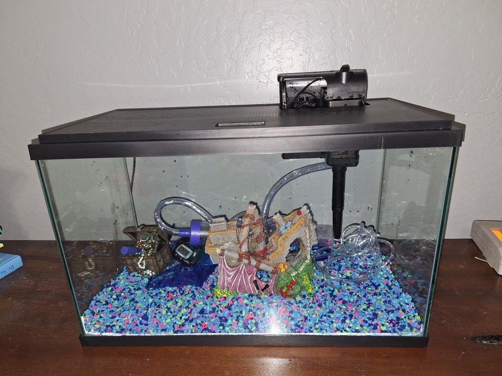 Fish Tank