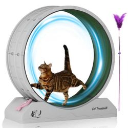 new inbox 31.5'' Cat Treadmill with Carpeted Runway and Safety Lock,Gray