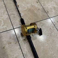 kite rod with penn reels 30sw international 2