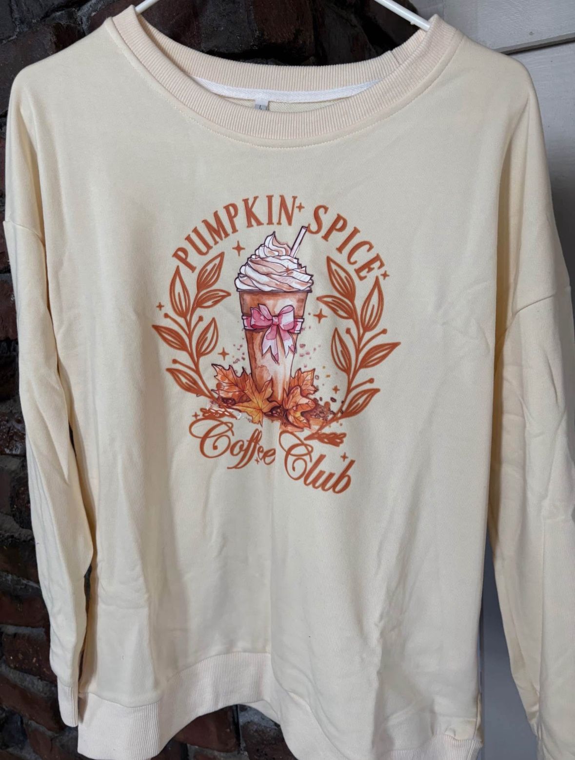Pumpkin Spice Sweater 