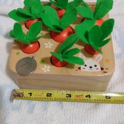 Wooden Carrot Puzzle