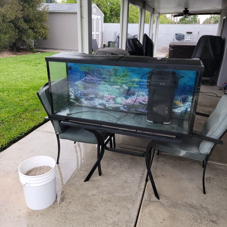 Free Fish Tank
