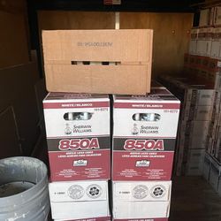 Paint Supplies Material Pintura 